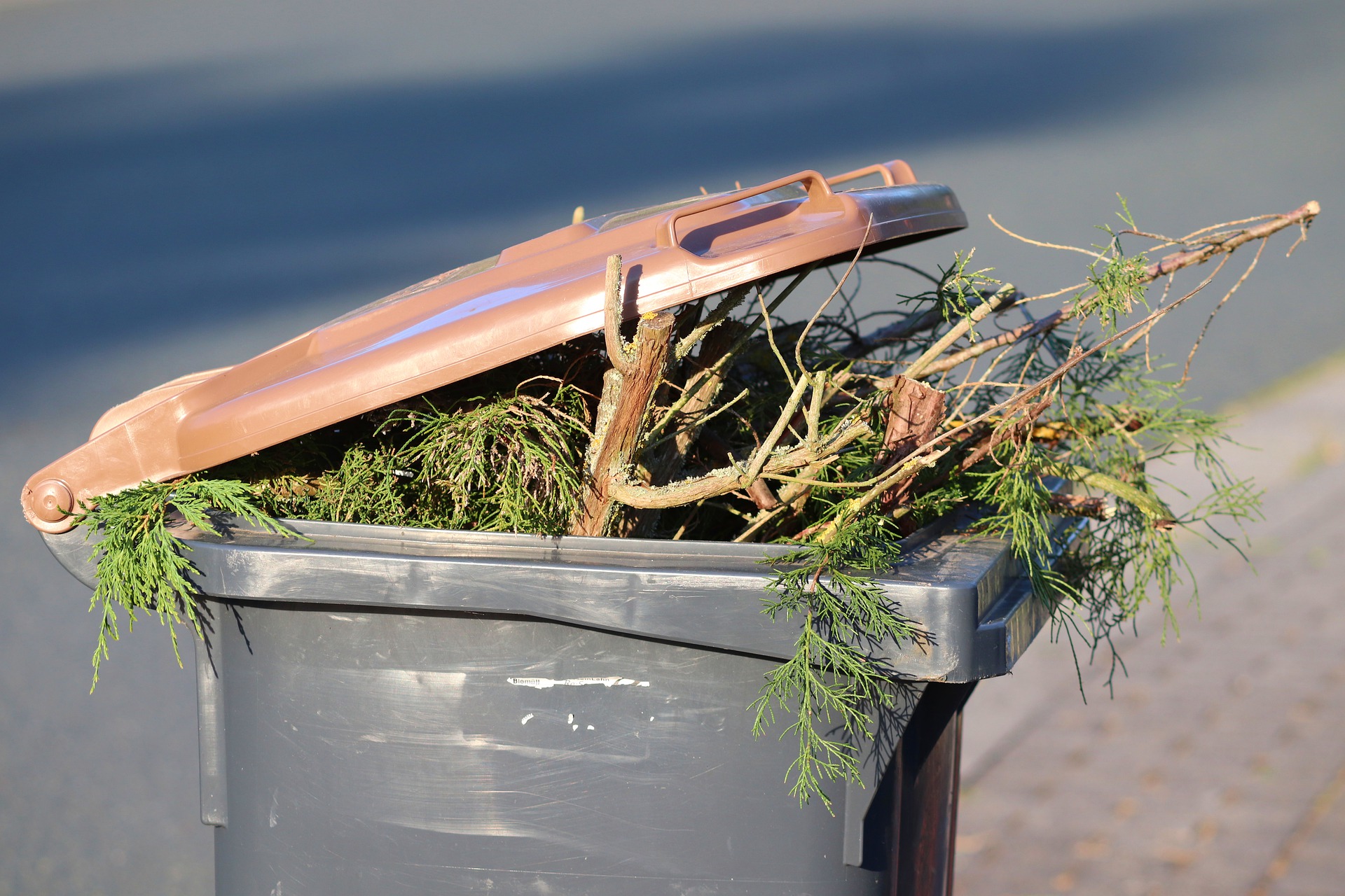 Nowe zasady gromadzenia i przekazywania do odbioru tzw. odpadów zielonych