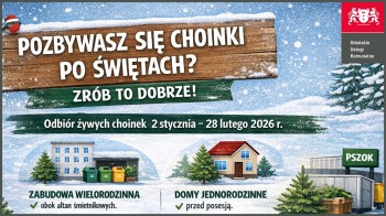 pozbywasz-sie-choinki..